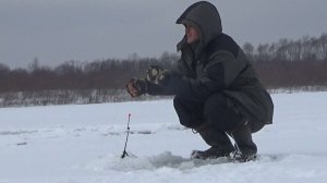 Рыбалка 15 Февраля со льда на Оке! Зимняя Рыбалка на Реке 2025!