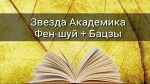 ЗВЕЗДА АКАДЕМИКА ФЕН ШУЙ+БА ЦЗЫ