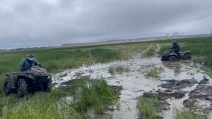 Квадрик