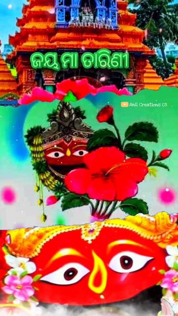 Odia Tarini Bhajan Status Video//Salua Banaru Ta Mandira Bedha 🙏 ଓଡ଼ିଆ ତାରିଣୀ ଭଜନ #maatarini #vairl смотреть онлайн