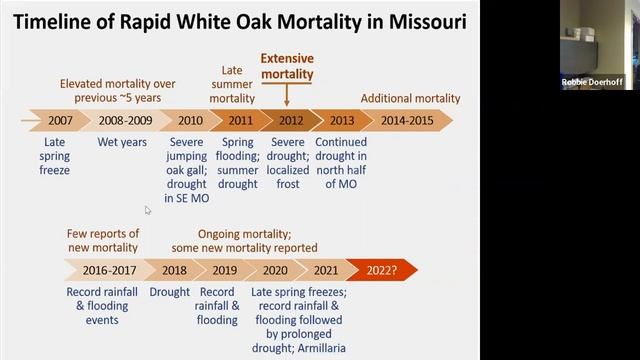 Grow Native! Webinar: Woodland & Forest Health for Landowners in the Lower Midwest: Robbie Doerhoff смотреть онлайн