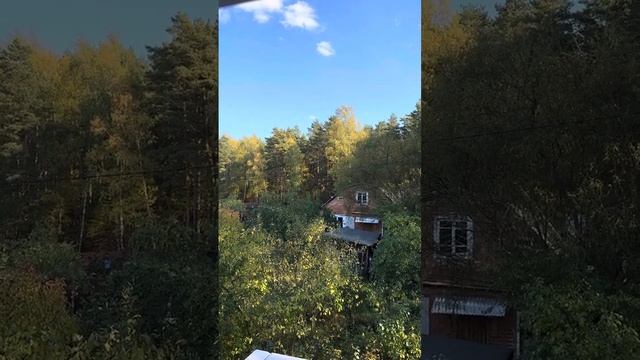 ВНИМАНИЕ! МЫ СКОРО ОТКРОЕМ ГРУППУ И ТАМ ПОКАЖЕМ ПРАВДУ…ВЕДЬМИНА ИЗБА ИНГА ХОСРОЕВА смотреть онлайн