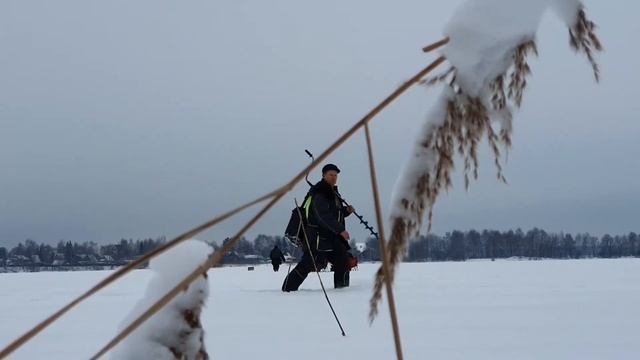 РЫБА ВИДИТ ЧУДАКОВ!!!
