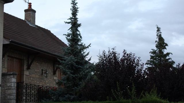 4.07.2009 Bourgogne.France
jazz.relax.France