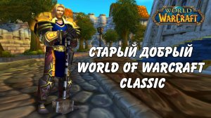 Прохожу игру за прот паладина! Wow World of Warcraft Classic #14 запись от 18.02.25