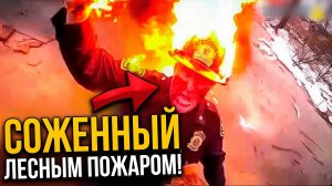 КОГДА КОПЫ СТАЛКИВАЮТСЯ С КАТАСТРОФАМИ