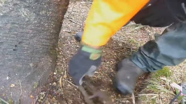 TRAPS ON THE TRACK - ILLEGAL POSSUM TRAPPING смотреть онлайн