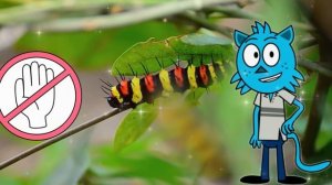 Интересные насекомые для детей  | Увлекательное путешествие с Мурзиком!