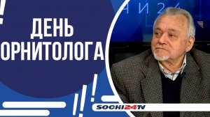 ЧТО УГРОЖАЕТ ПЕРНАТЫМ В СОЧИ? СКОЛЬКО ПТИЦ УЖЕ СПАСЕНО?|ПОДРОБНО