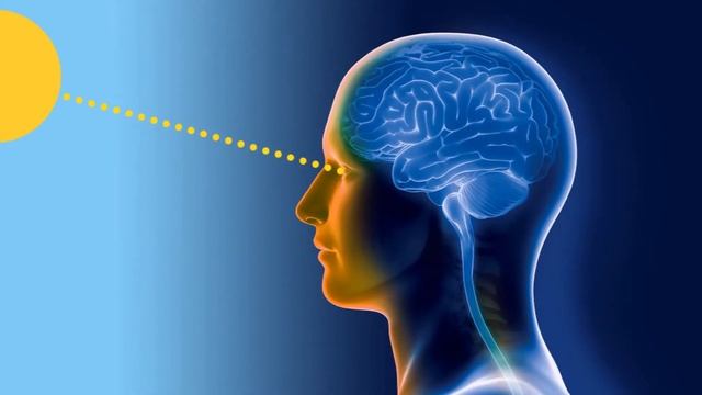 எப்படி சாப்பிடனும் ? SCIENTISTS என்ன சொல்றாங்க தெரியுமா? смотреть онлайн