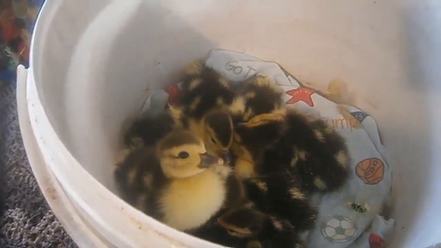 Непонятное явление, но всё идет отлично! смотреть онлайн