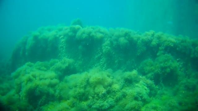 Нырялка 25 августа в бухте Ласпи смотреть онлайн