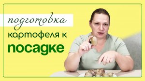 Как ПРАВИЛЬНО подготовить клубни КАРТОФЕЛЯ к ПОСАДКЕ