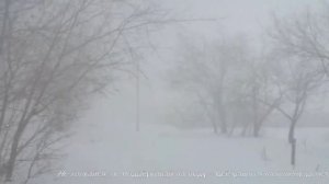 Вдоль по Вологде - метель,метель,метель...HD