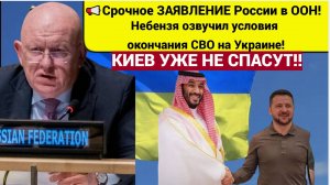 📢Срочное ЗАЯВЛЕНИЕ России в ООН! Небензя озвучил условия окончания СВО на Украине! Киев уже не СПАС