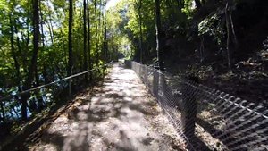 Жизнь в Австрии глазами русской эмигрантки Простой воскрестный день 1.