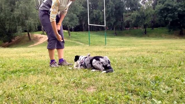 Flyland Natural Wonder (Mango) 4 months смотреть онлайн