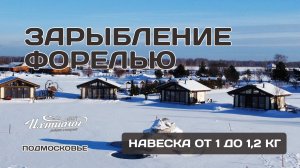 Запуск 600 кг великолепной форели из северной Карелии