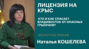 Лицензия на крыс: кто и как спасает Владивосток от опасных грызунов | Интервью