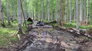 Покатушки на квадроциклах по болотам