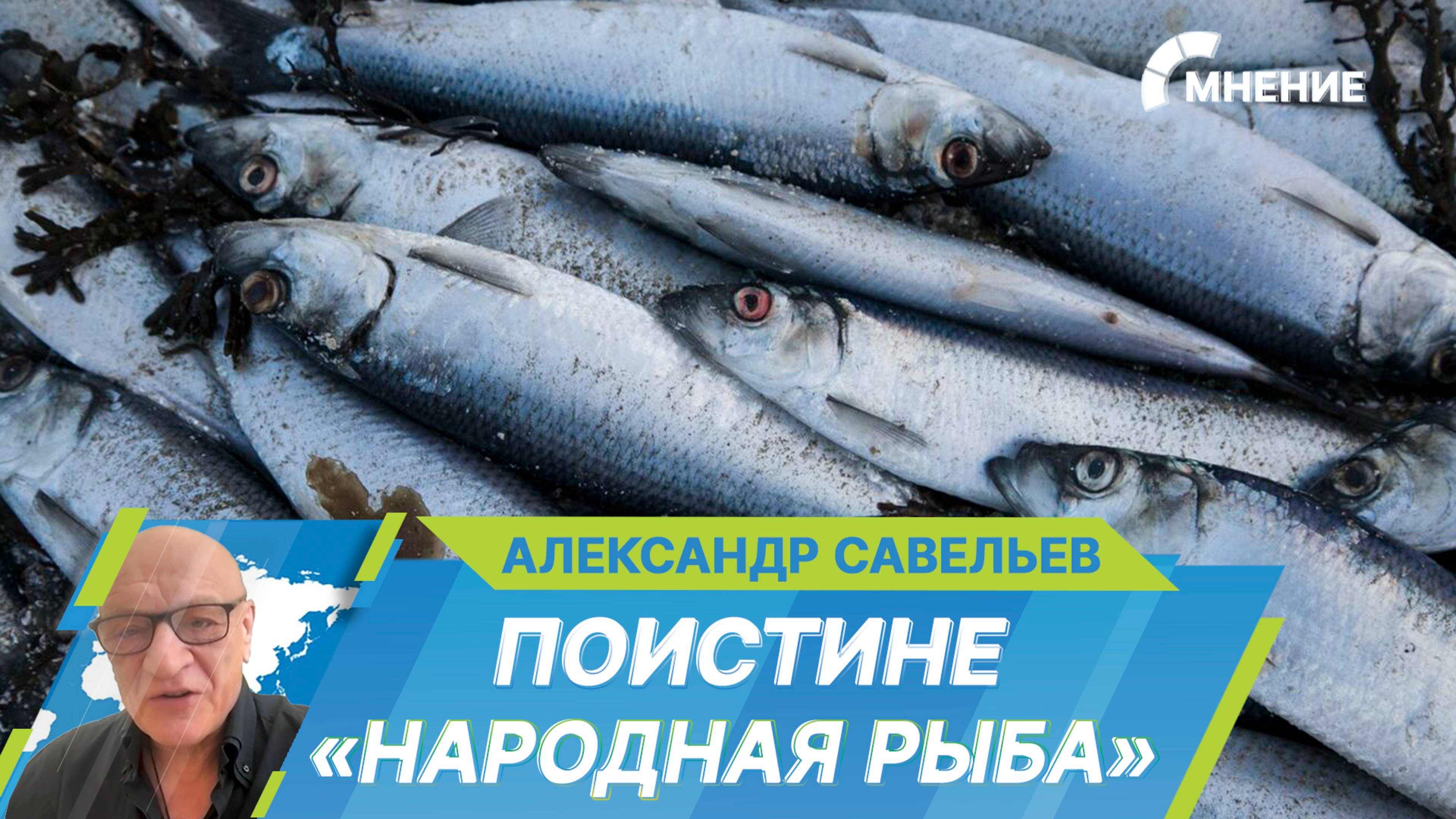 В России упали оптовые цены на селедку. Заметит ли это розничный покупатель?