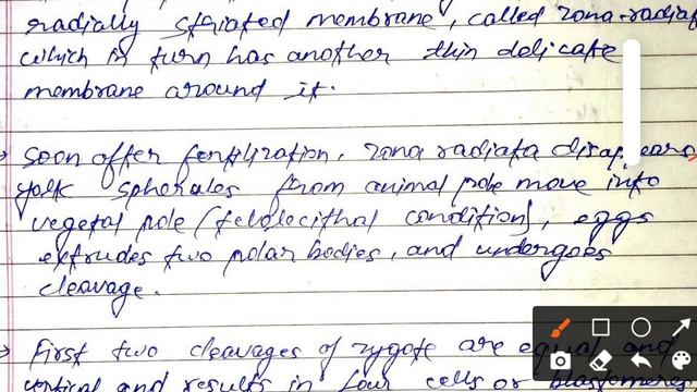 Life History Of Nereis. смотреть онлайн