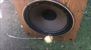 Blowing Speakers 13 @JoeTricep