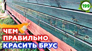 Как правильно покрасить деревянный дом? | Обзор на дом из профилированного бруса