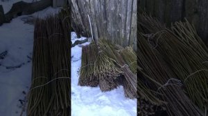 Плетёное дерево из ивы, способ хранения зимой.
