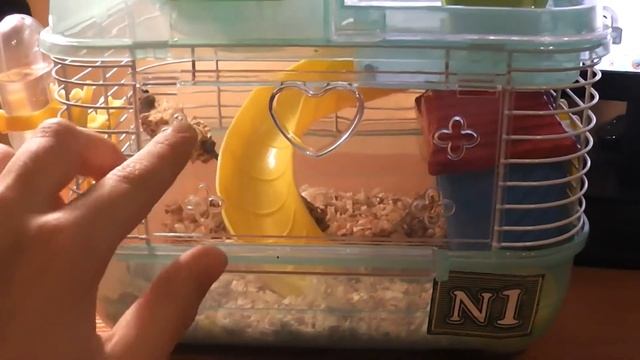 Купить ли хомяка. смотреть онлайн