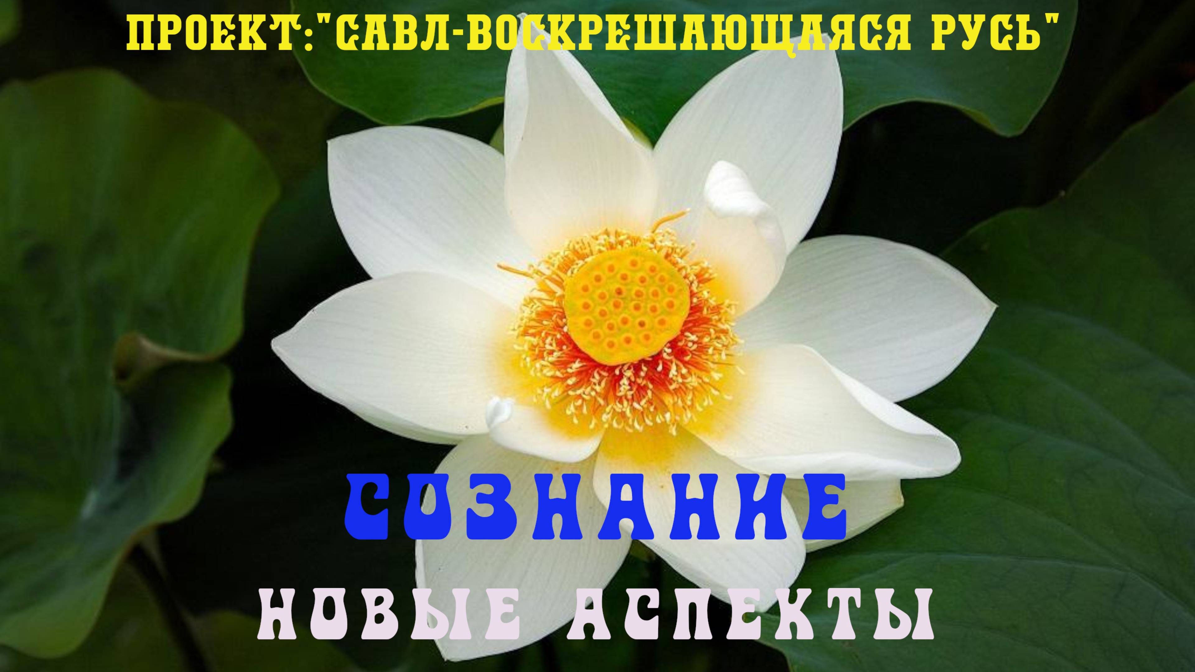 140. СОЗНАНИЕ- новые неведанные ранее аспекты