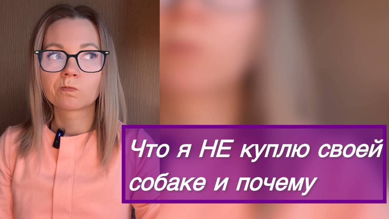 5 вещей, которые я не куплю своей собаке.
