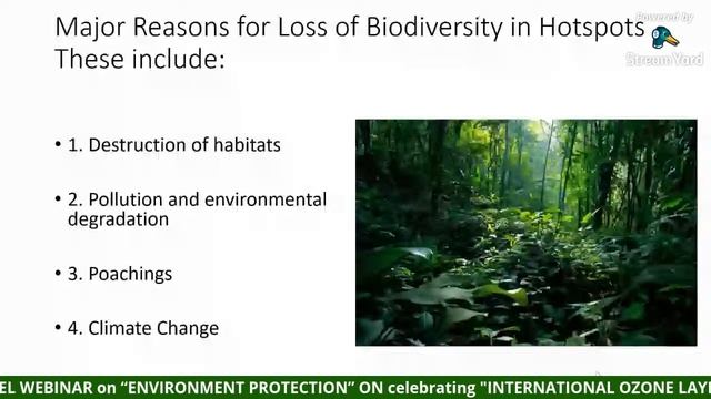 NATIONAL LEVEL WEBINAR on “ENVIRONMENT PROTECTION” ON celebrating "INTERNATIONAL OZONE LAYER DAY" смотреть онлайн