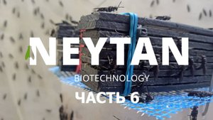 NEYTAN (часть 6) "Обзор производства чёрной львинки"