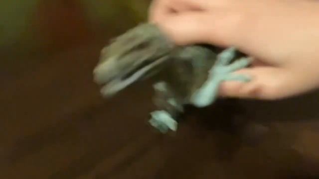 Dinosaur Battle QF4: Alioramus VS Aerosteon смотреть онлайн