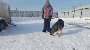 Правильная посадка при подзыве. ( дополнение к предидущему видео)