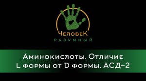 Аминокислоты. Отличие L формы от D формы. АСД-2 ("Человек-Разумный", 2013)