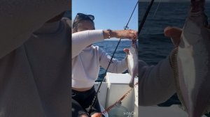 Морская рыбалка