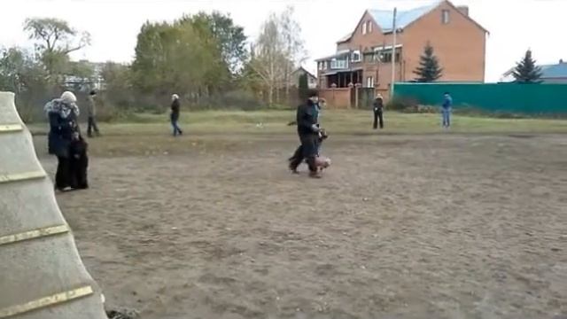 Дебютанты 26 10 13 wlmp смотреть онлайн