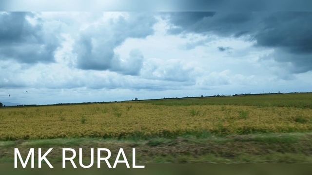 PLANTACIÓN DE ARROZ RICE PLANTATION 쌀 농장 РИСОВАЯ ПЛАНТАЦИЯ PLANTAÇÃO DE ARROZ PLANTACIÓ D'ARRÒS FHD смотреть онлайн