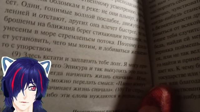 Чтение философии Сенека Письма к Луцилию Письма 22