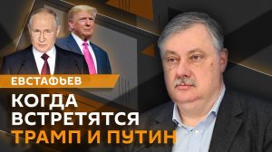 Дмитрий Евстафьев. Встреча Путина и Трампа, выборы на Украине