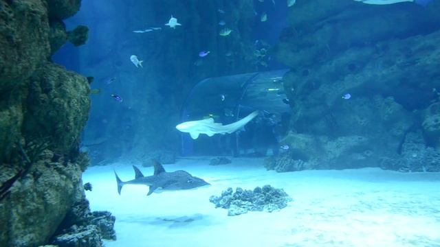 Изображение 297 смотреть онлайн