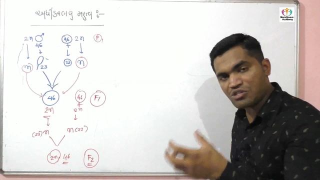 Importance of Meiosis,Cell Cycle And Cell Division by Uday Gohil смотреть онлайн