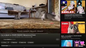 Обзор на песню кошки мышки От А ну ка давай ка