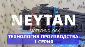 Технология разведения чёрной львинки (1 серия)