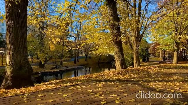 Падают листья. Ю.Шатунов. смотреть онлайн