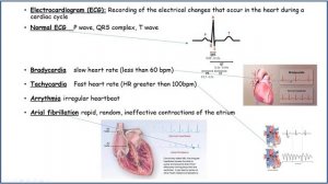 Applied Human Biology Unit 1 - A6 - Diagnostic techniques