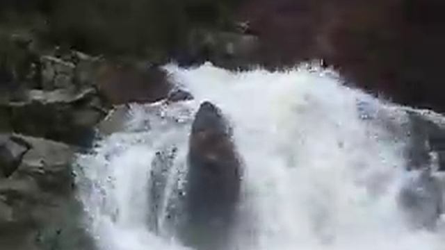 Водопад.MOV смотреть онлайн