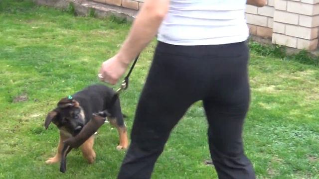 24/04 зелёный 4 смотреть онлайн